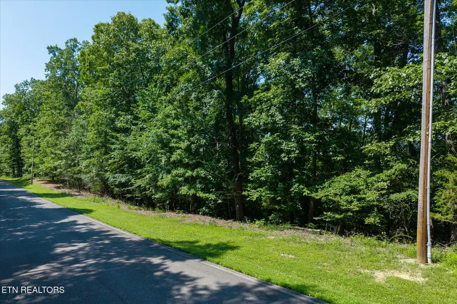 Lot 3 & 4 Harbor Green Pl, Sparta, TN 38583 - #2