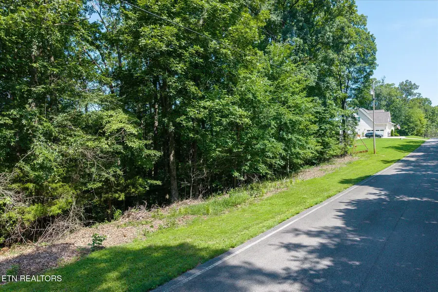 Lot 3 & 4 Harbor Green Pl, Sparta, TN 38583 - #3