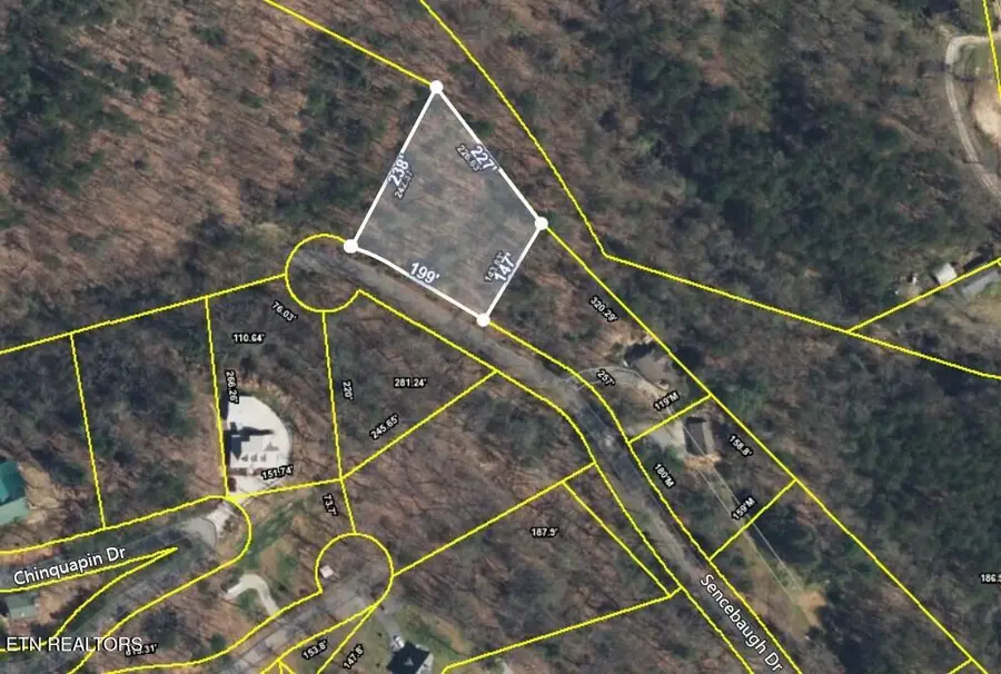 Sencebaugh Drive, Sevierville, TN 37876 - #2