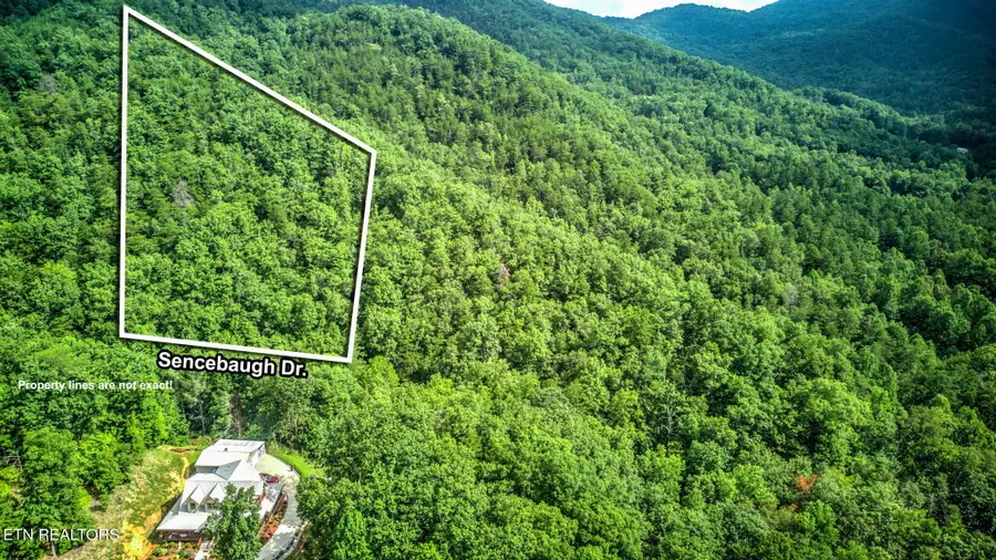 Sencebaugh Drive, Sevierville, TN 37876 - #3