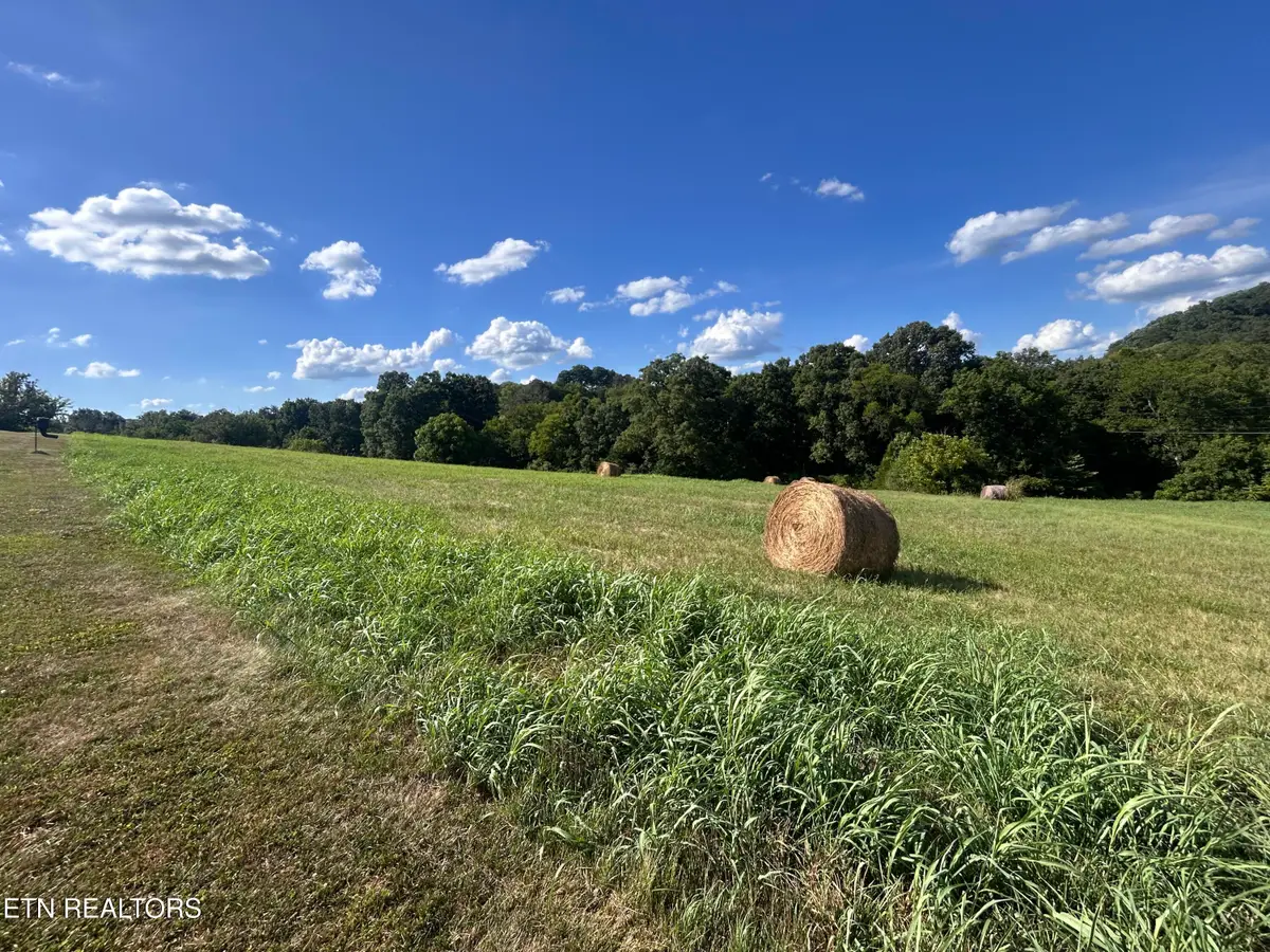 Lot 8C Park View Drive, Blaine, TN 37709 - #1