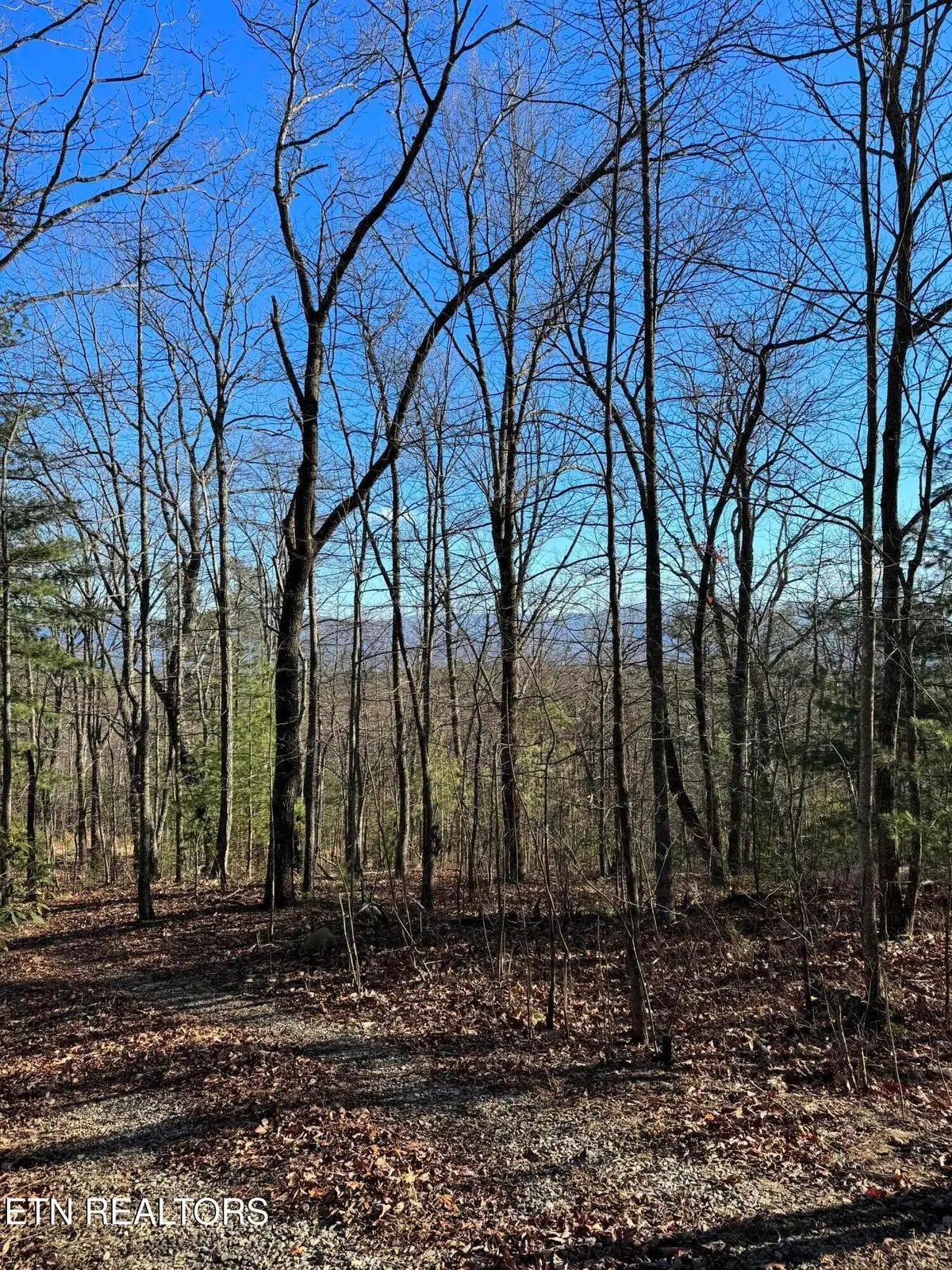 6838 Flats Rd, Tallassee, TN 37878 - #1