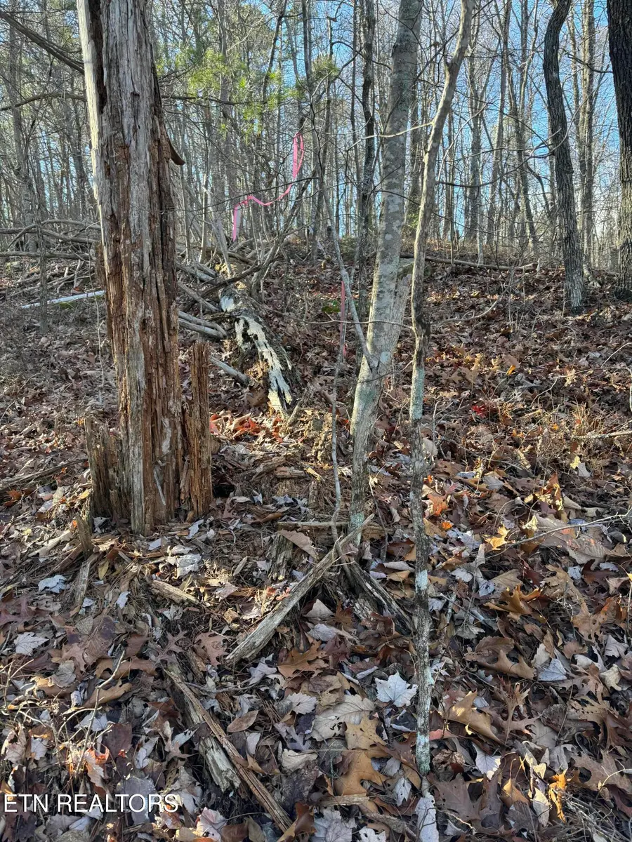 6838 Flats Rd, Tallassee, TN 37878 - #3