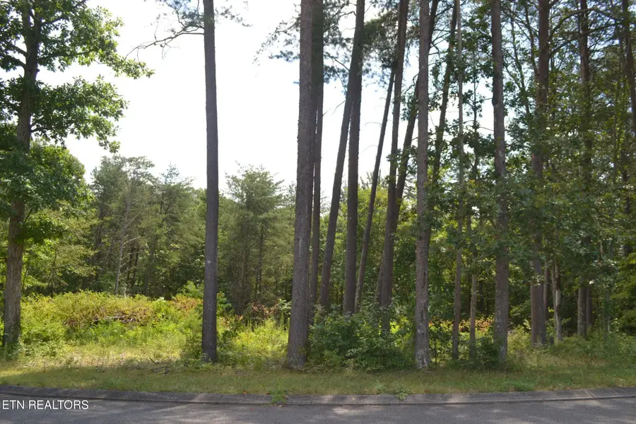 0 Countryside Drive, Dunlap, TN 37327 - #2