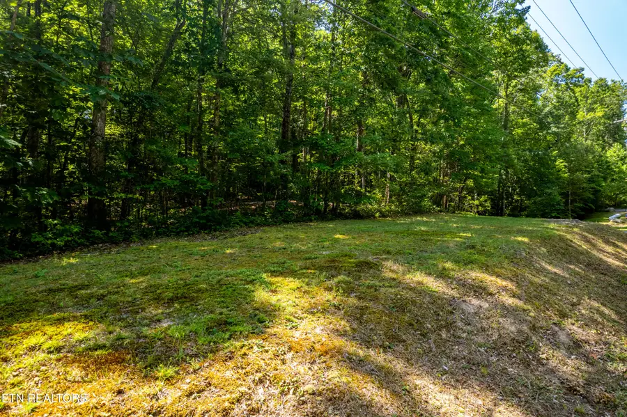Lots 18,19,& 20 Bear Rd, Tallassee, TN 37878 - #2