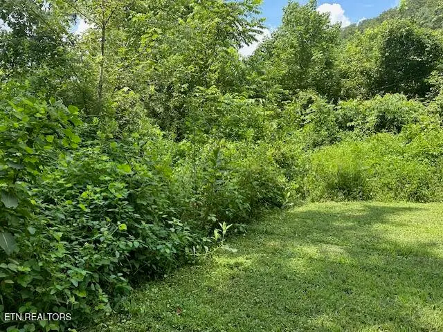 100 Knot Hole Rd, Arjay, KY 40902 - #2