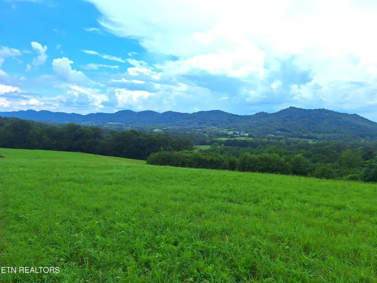 Race Track Rd, Rogersville, TN 37857 - #1