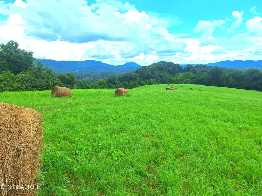 Race Track Rd, Rogersville, TN 37857 - #2