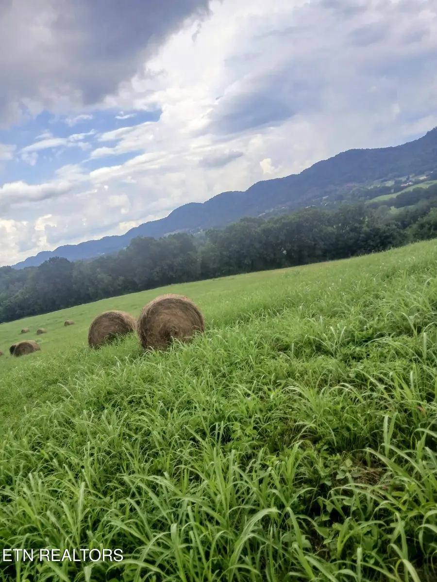 Race Track Rd, Rogersville, TN 37857 - #3