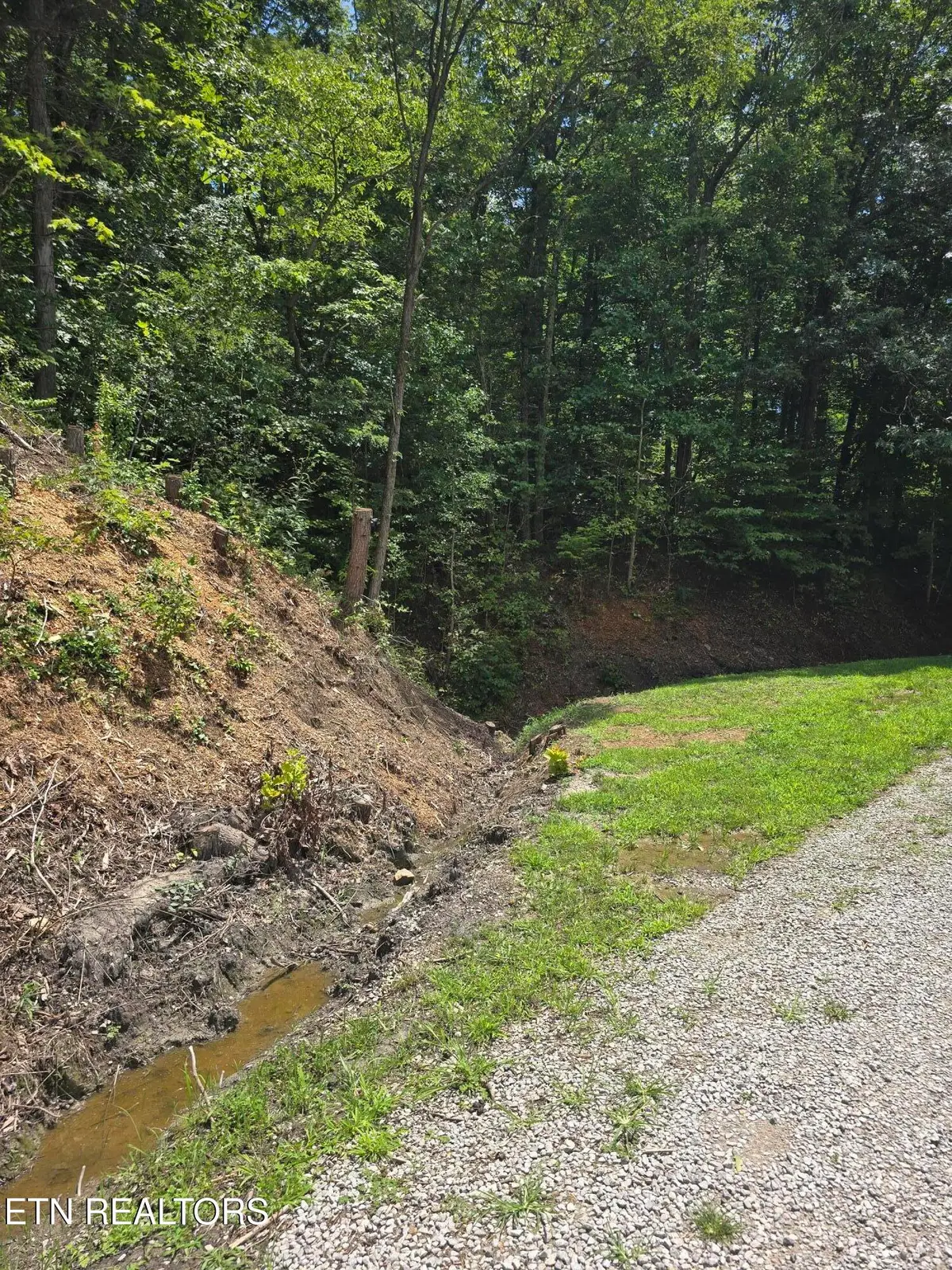 Ashley Lane, Jellico, TN 37762 - #1