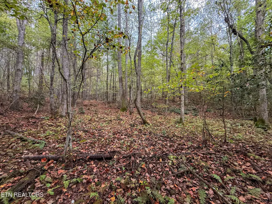 Lot 27 Airport Rd, Rockwood, TN 37854 - #2