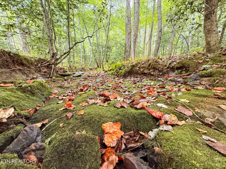 Lot 27 Airport Rd, Rockwood, TN 37854 - #3