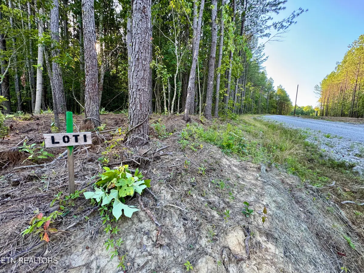 Lot 1 Airport Rd, Rockwood, TN 37854 - #1