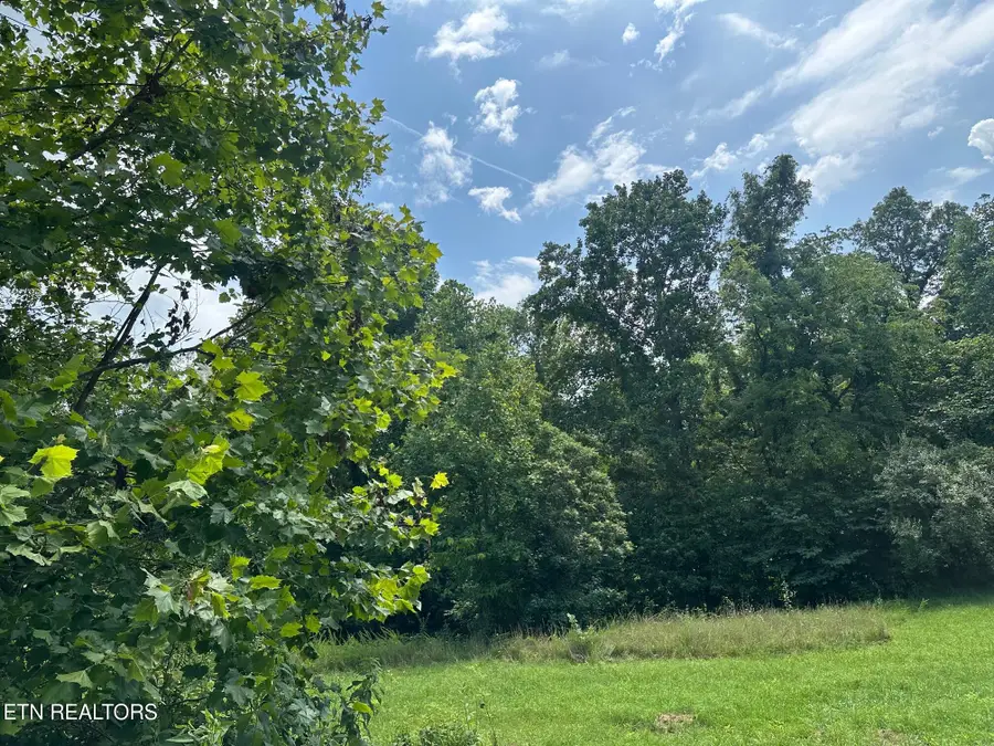 233 Watkins Lane, Jacksboro, TN 37757 - #3