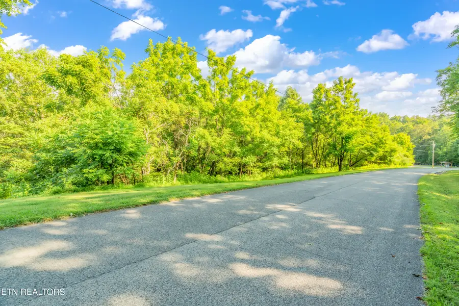 Lot 3 Shanghai Landing Lane, Lafollette, TN 37766 - #3