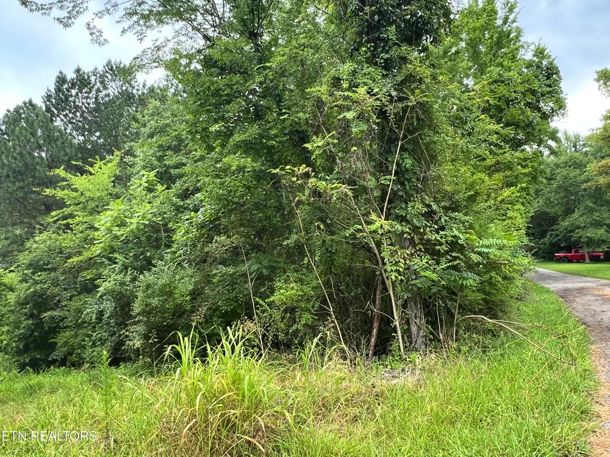 Lot 2 Prigmore Ridge Rd, Decatur, TN 37322 - #1