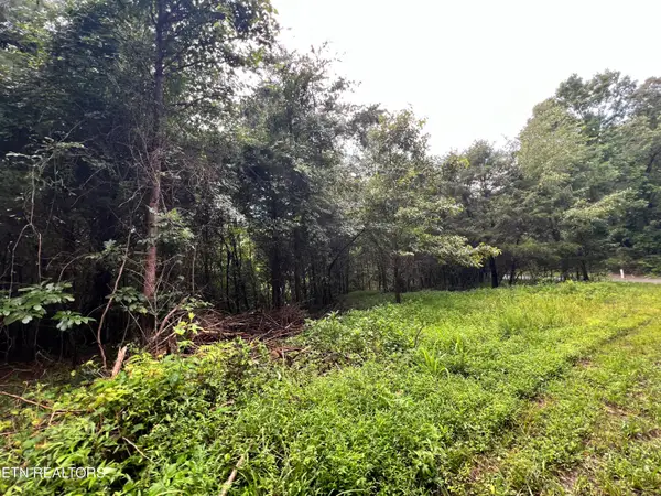 Lot 1 Prigmore Ridge Rd, Decatur, TN 37322