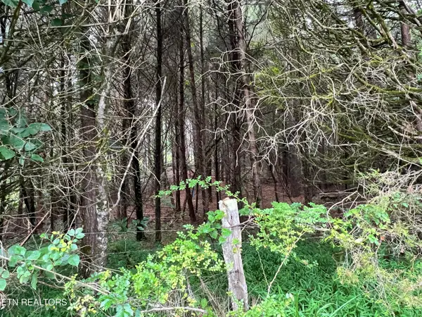 Lot 6 Willie Prigmore Rd, Decatur, TN 37322