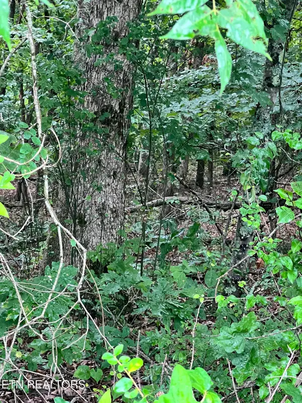 Lot 11 Willie Prigmore Rd, Decatur, TN 37322