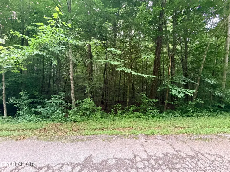 Lot 2 Evergreen Drive, Oneida, TN 37841 - #3