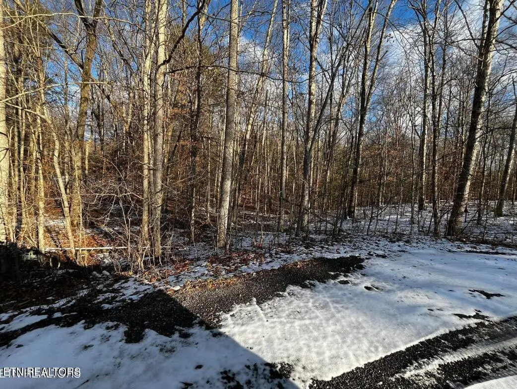 Lot 4 Evergreen Drive, Oneida, TN 37841 - #1