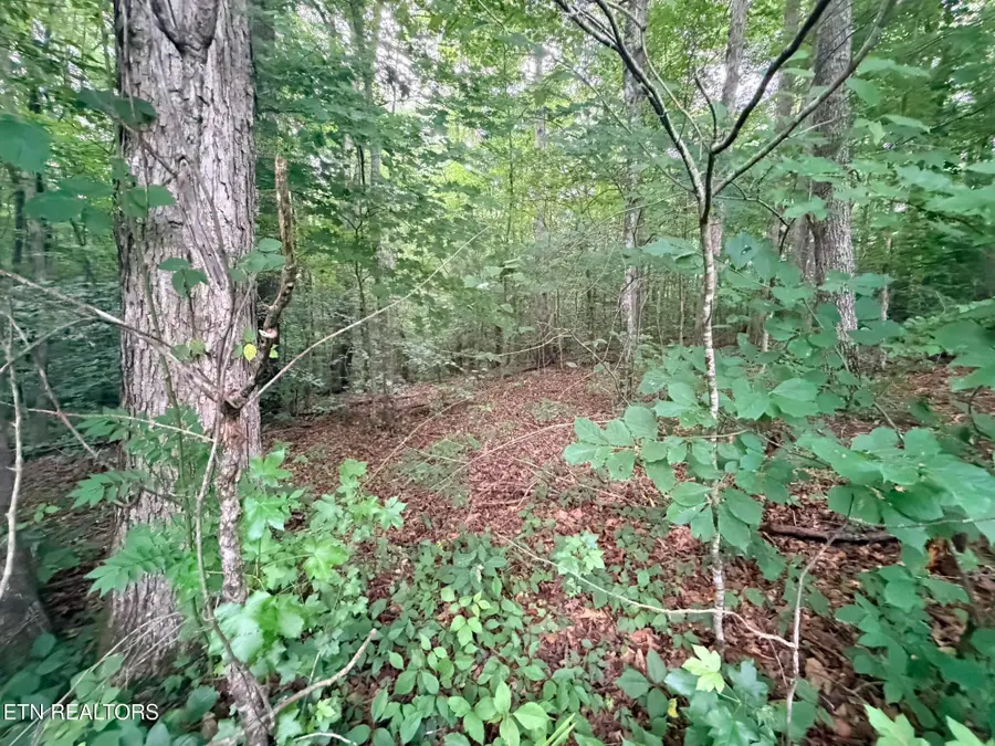 Lot 4 Evergreen Drive, Oneida, TN 37841 - #3