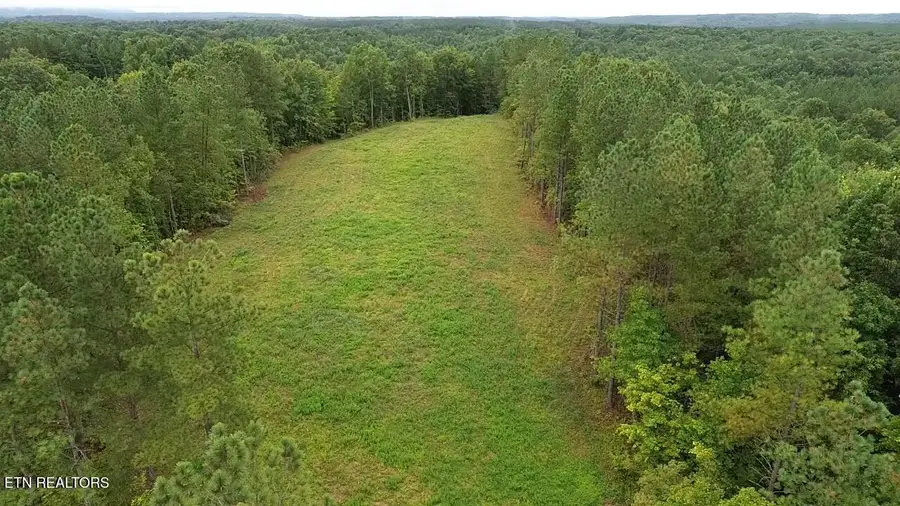 Higby Pvt Rd, Robbins, TN 37852 - #2