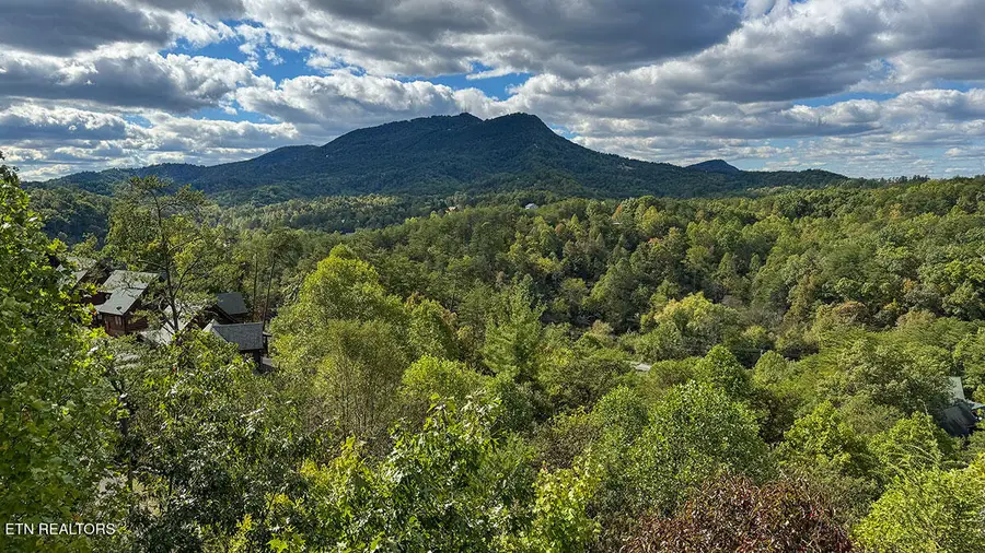 1352 Timberwolf Way, Sevierville, TN 37876 - #2