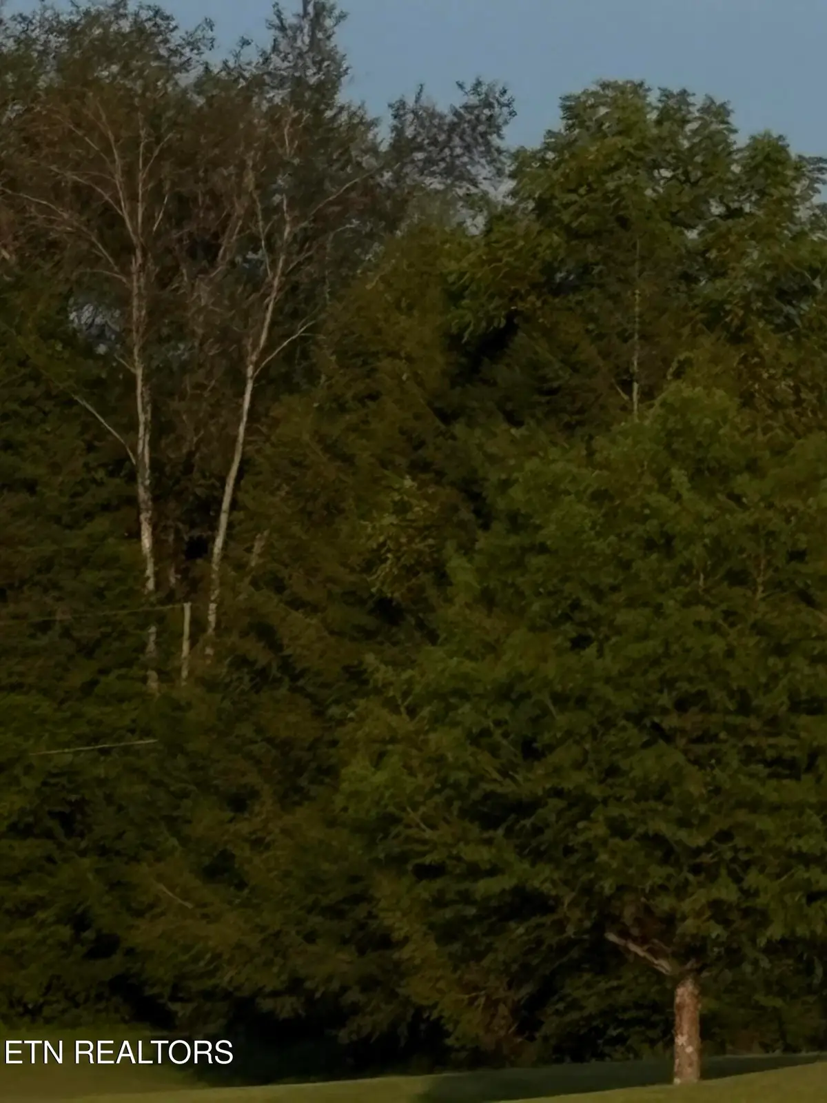 Camelot, Rogersville, TN 37857 - #1