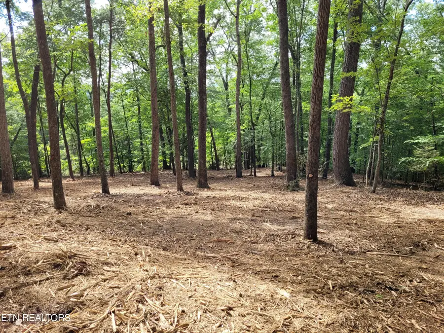 Lot 146 & 147 Lakeview Drive, Sharps Chapel, TN 37866 - #3