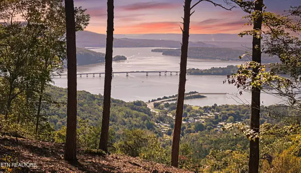 Countryside Court, Guild, TN 37340