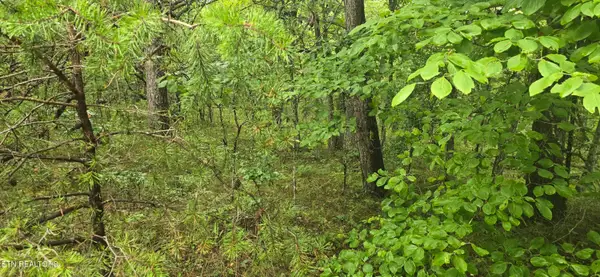 423 Saint George Drive, Crossville, TN 38558