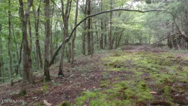 2.64 Old Hwy 53 S, Celina, TN 38551 - #1