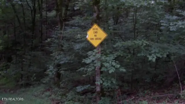 2.64 Old Hwy 53 S, Celina, TN 38551 - #2