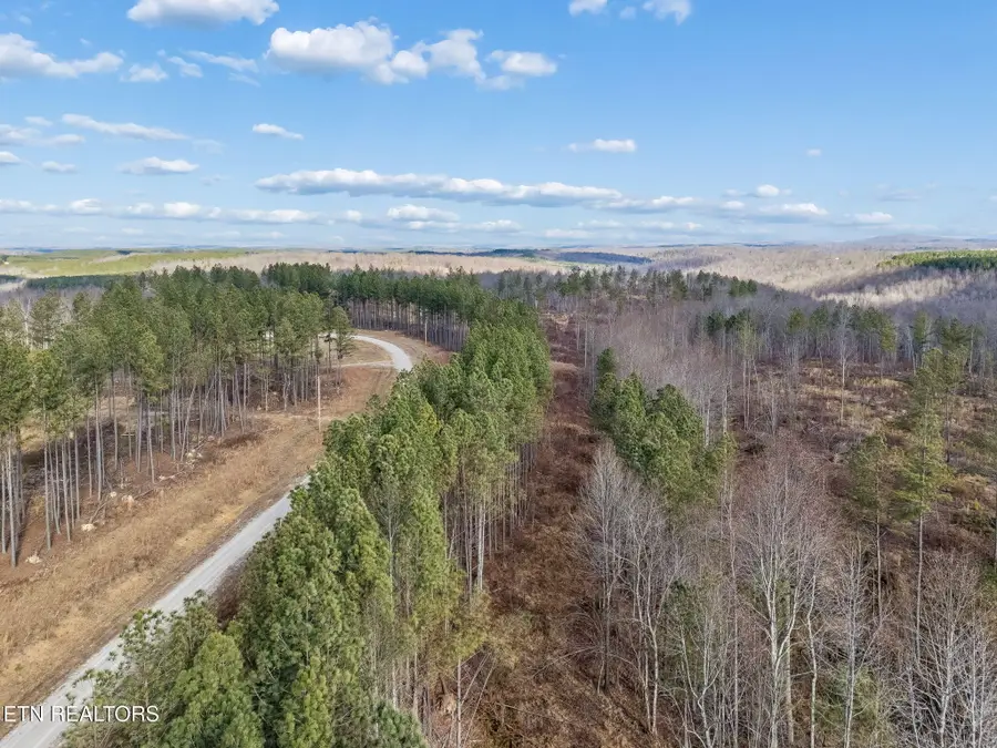 Huffman Rd, Sunbright, TN 37872 - #3