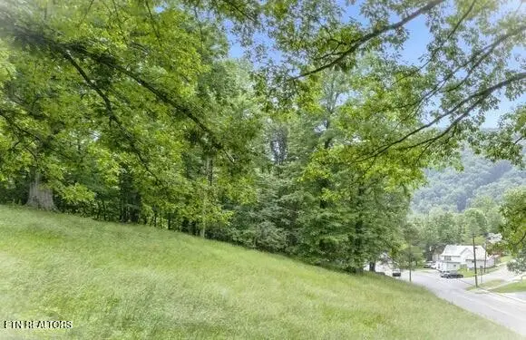 Lot TractD Hillcrest Drive, Cumberland Gap, TN 37724 - #1