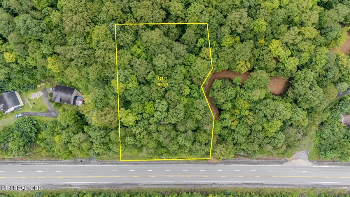 Lot 1 8310 Us Hwy 119, Calvin, KY 40813 - #1