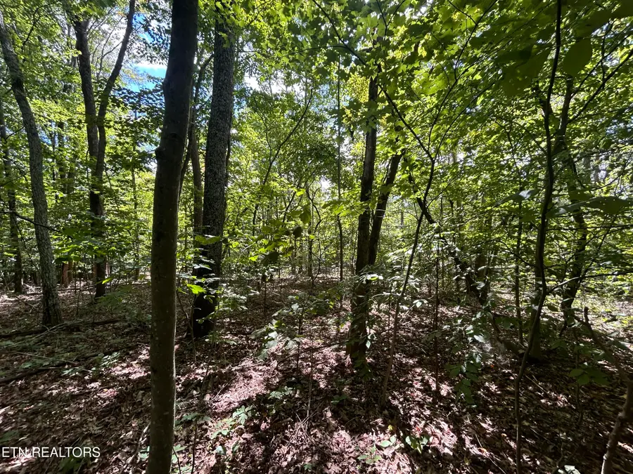 Lots 5&6 Clint Williams Rd, Rutledge, TN 37861 - #2