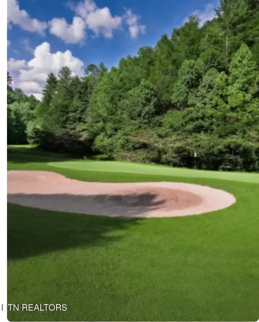 925 Sunshine Tr, Gatlinburg, TN 37738 - #3