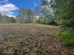 8380 Henley Rd, Baxter, TN 38544 - #2