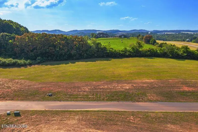 Lot 4 Pine Meadows Drive, White Pine, TN 37890 - #2