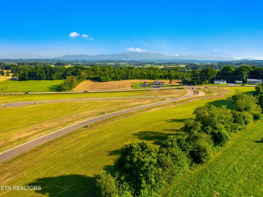 Lot 4 Pine Meadows Drive, White Pine, TN 37890 - #3