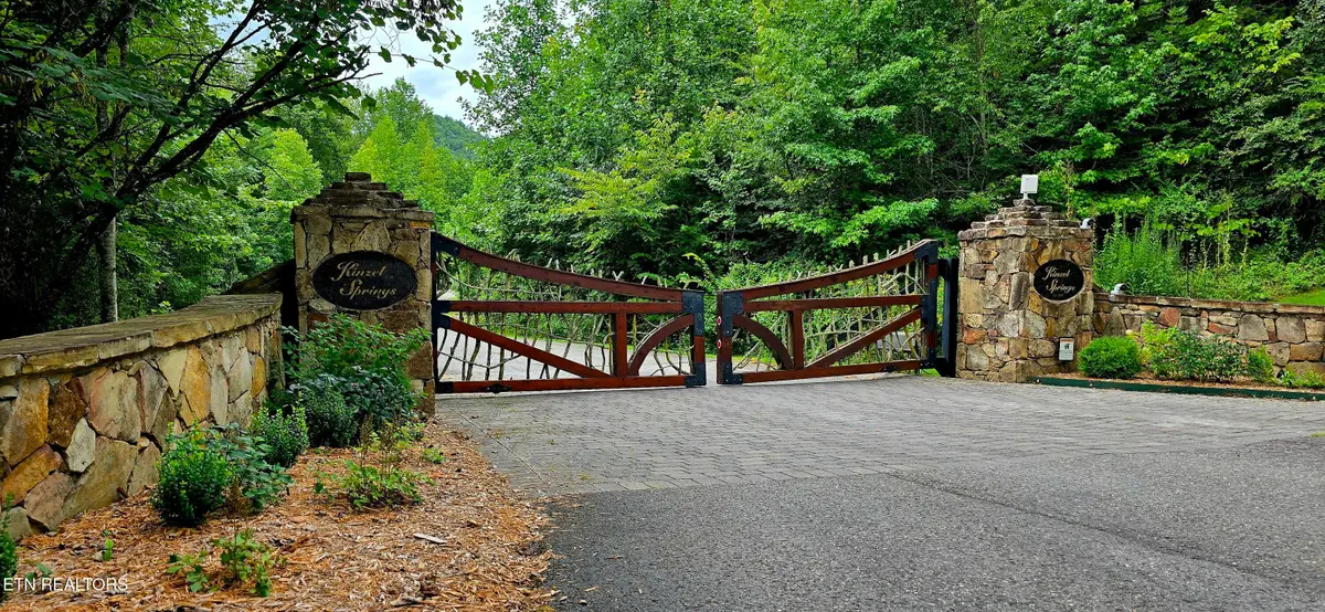 491 Chetola Tr, Townsend, TN 37882 - #1