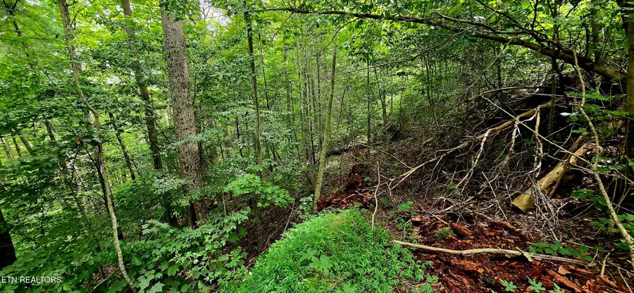 491 Chetola Tr, Townsend, TN 37882 - #2