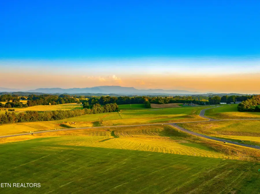 Lot 76 Meadow Rose Drive, White Pine, TN 37890 - #2