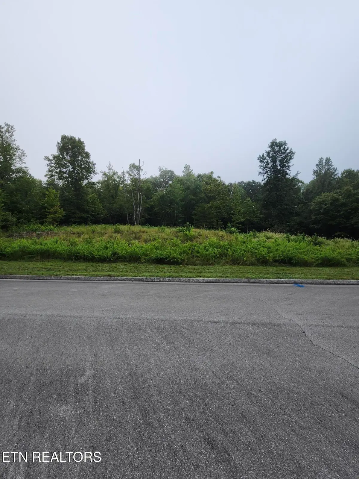 302 Caney View (w/dock) Drive, Harriman, TN 37748 - #1