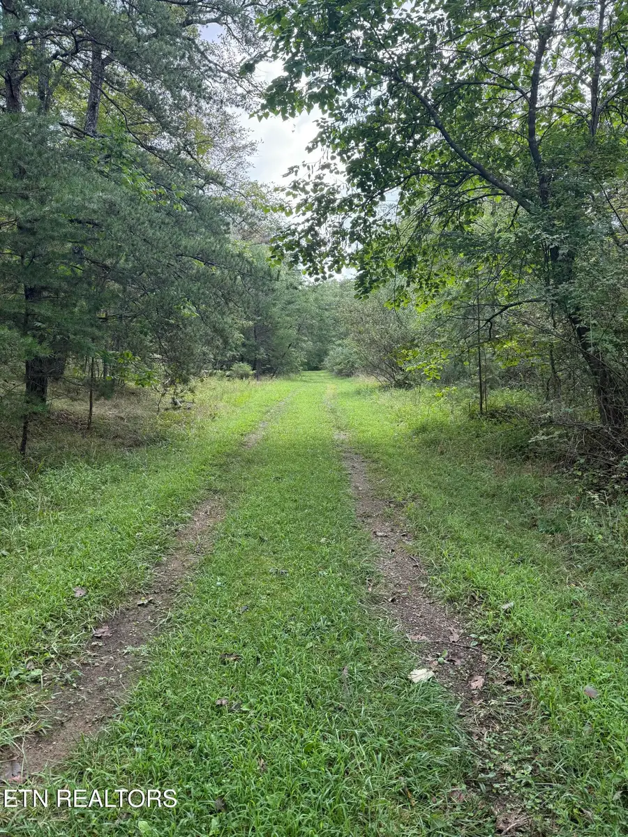 130 Blackburn Drive, Crossville, TN 38558 - #2