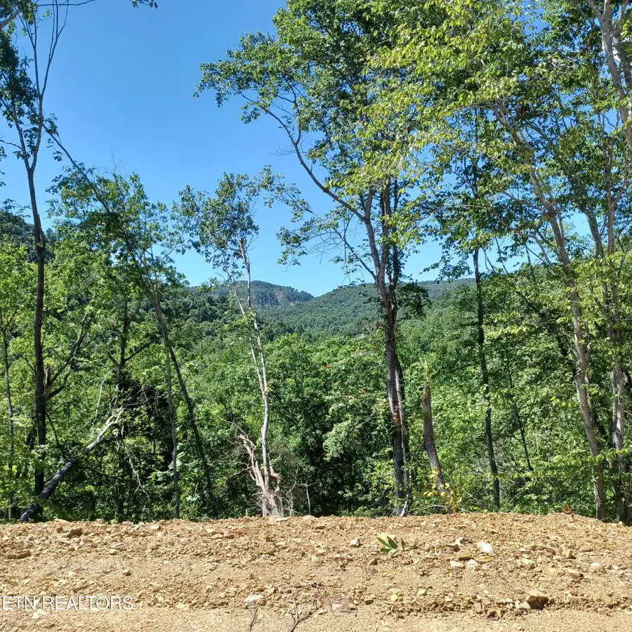 0 Stanley Creek Rd, Oneida, TN 37841 - #3