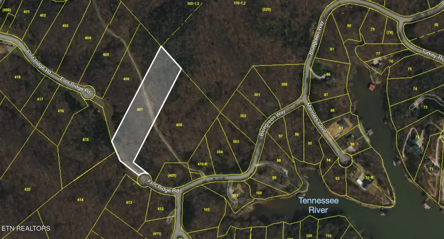 Bluegreen Way, Rockwood, TN 37854 - #3