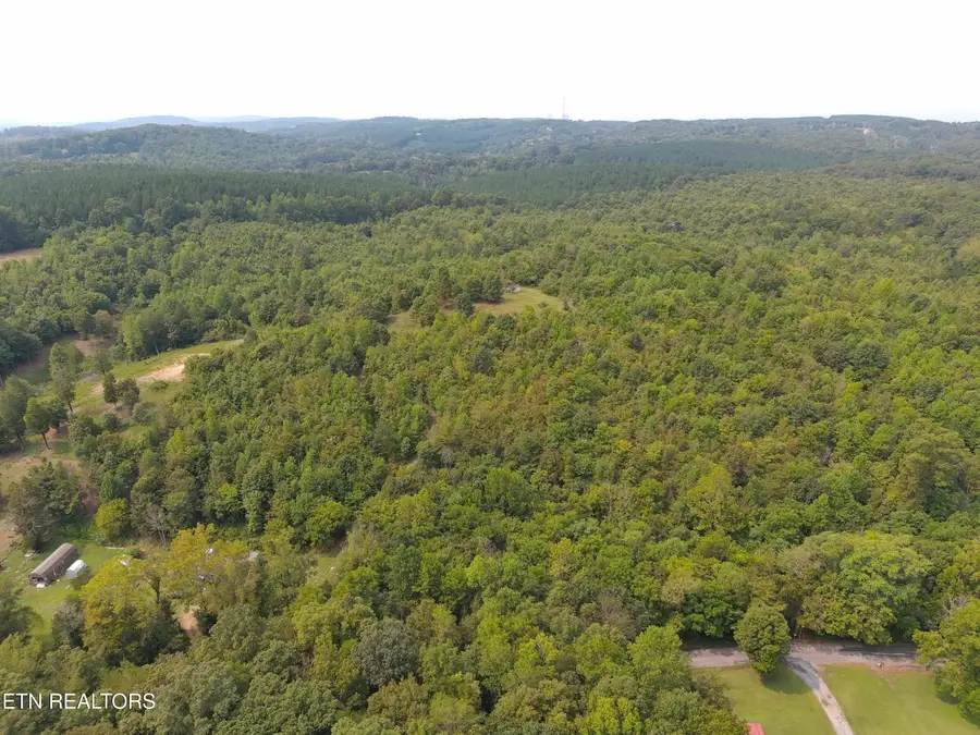 417 Womac Hollow Rd, Ten Mile, TN 37880 - #3